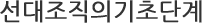 선대조직의기초단계