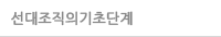 선대조직의기초단계
